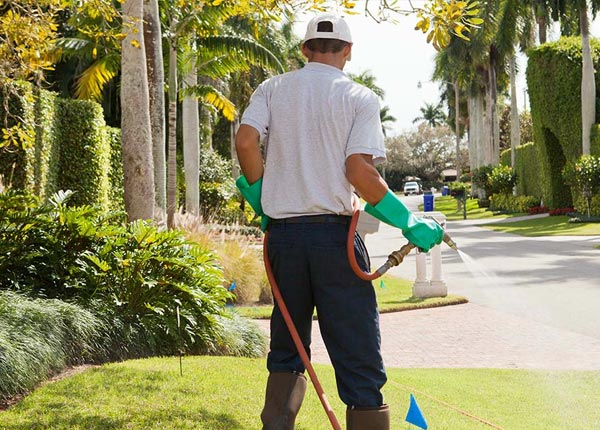 About Effort PA Pest Control